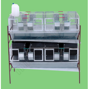 (КР-ВО-2я-4.8) КР-16 Двусторонняя 2 яруса. 4 секции с маточниками, 8 секций откормочные.
